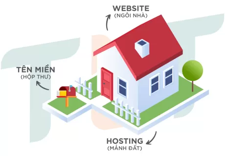 Hosting là gì? Vì sao nên chọn TLT Hosting cho website của bạn?