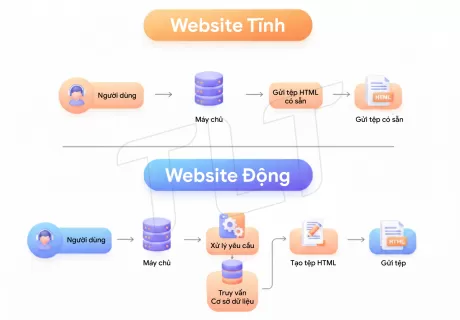 Website Tĩnh vs Động: So Sánh Chi Tiết & Hướng Dẫn Lựa Chọn 2025