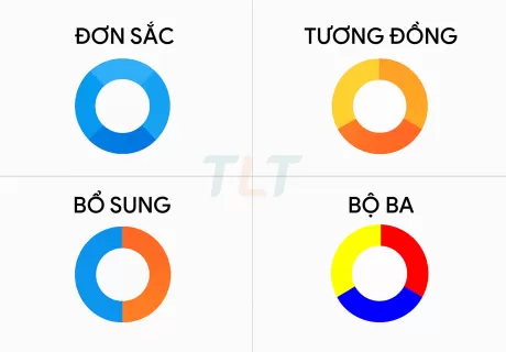 Cách Chọn Màu Sắc Website Hiệu Quả: Hướng Dẫn Cho Người Mới