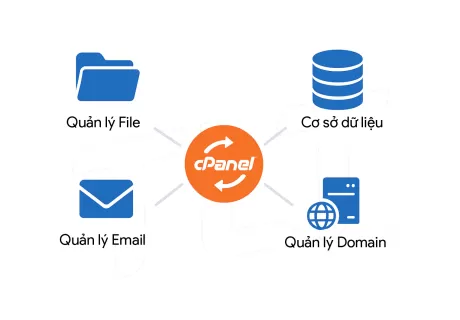 cPanel là gì? Hướng dẫn toàn diện quản lý hosting cho người mới 2025