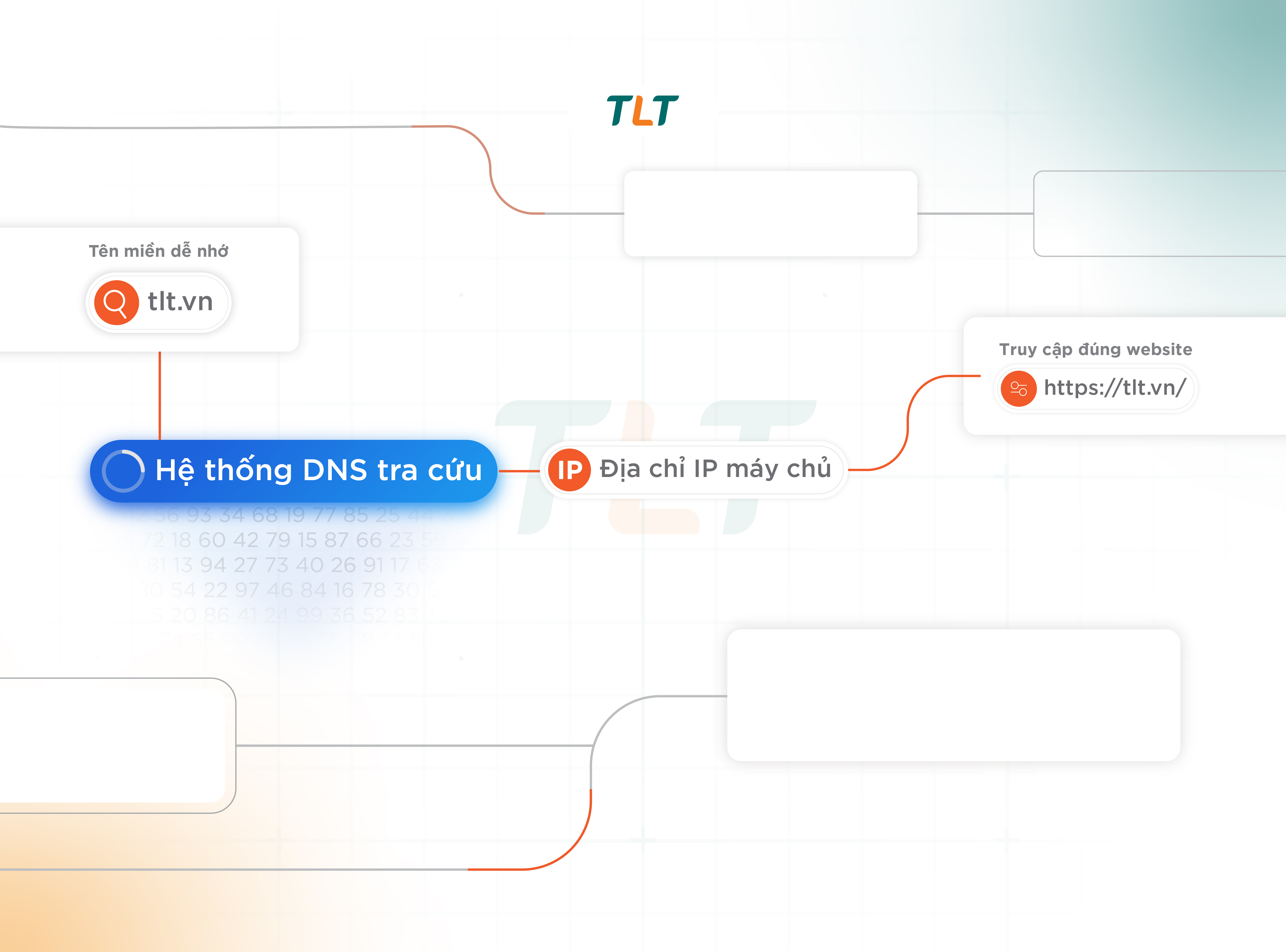 dns-tra-cuu