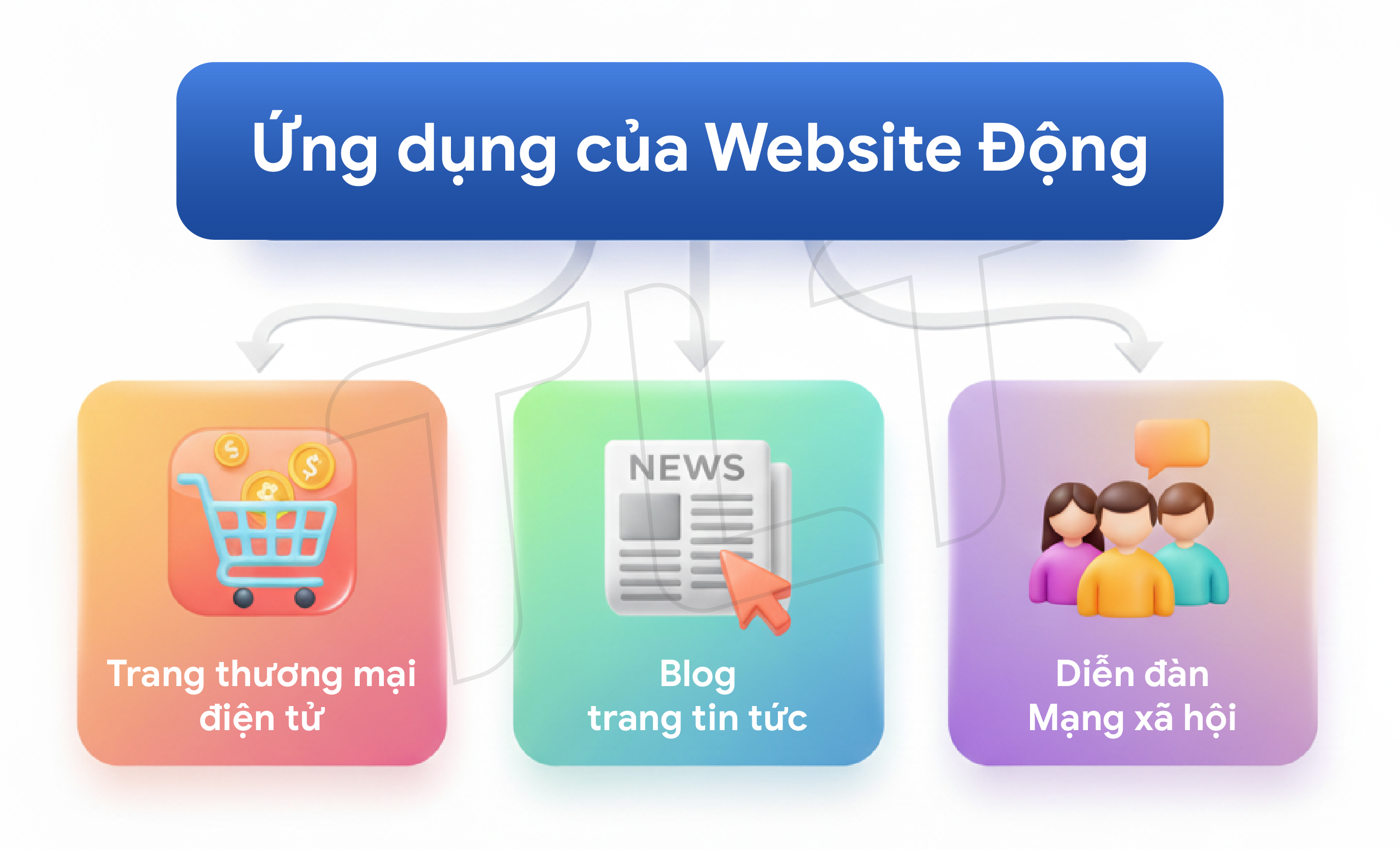 ung-dung-cua-website-dong