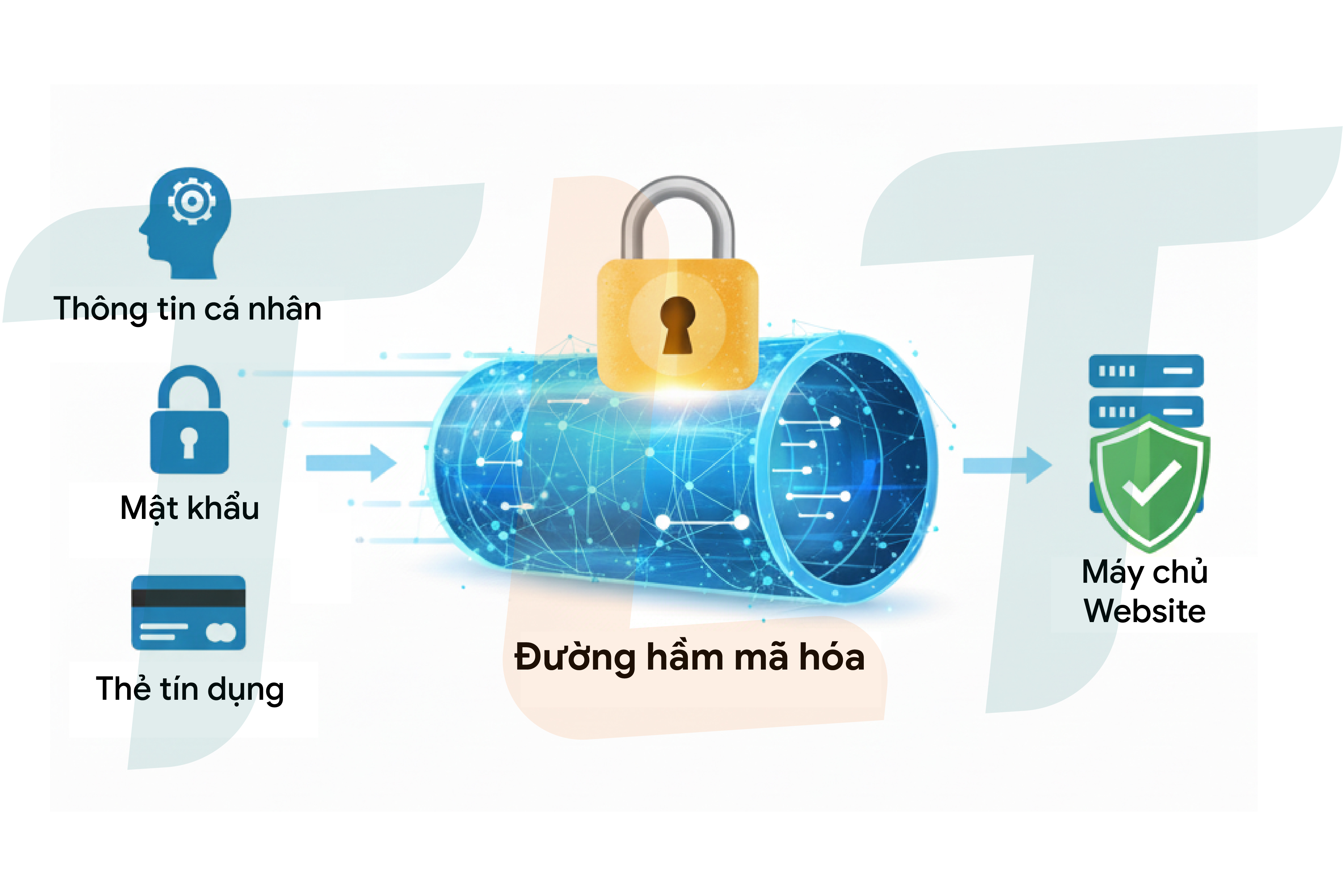 minh-hoa-ma-hoa-du-lieu-ssl