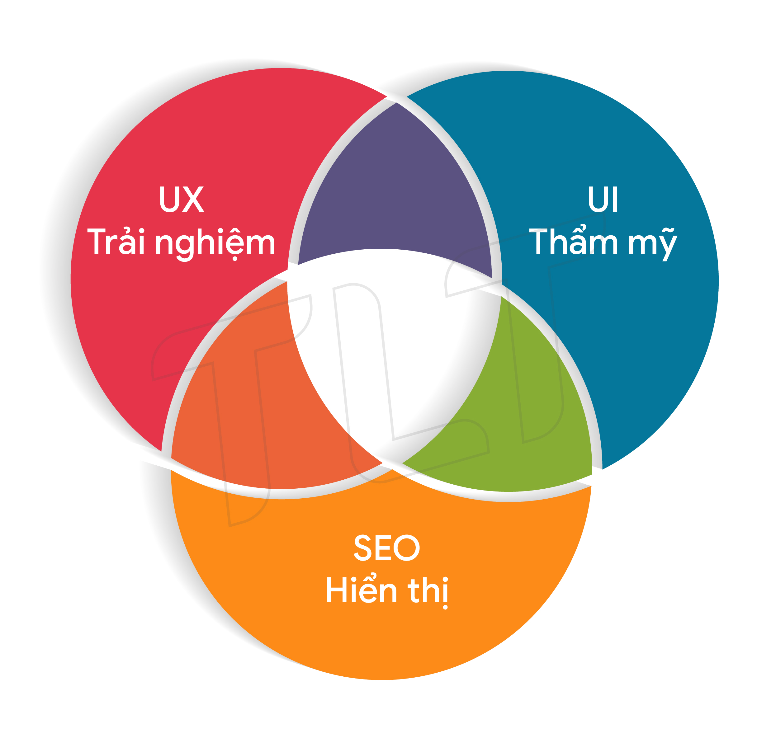 website-thiet-ke