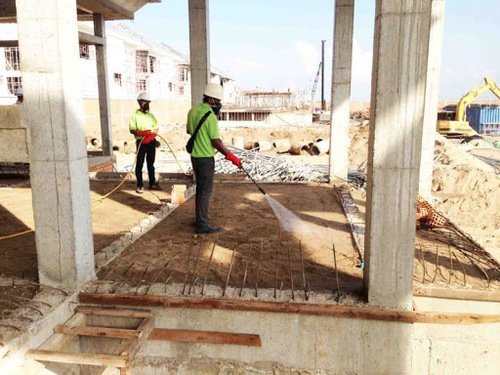 diệt mối nền công trình