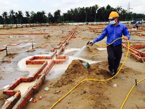 diệt mối nền công trình