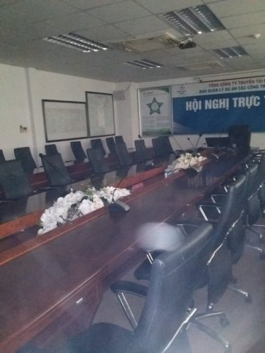 dịch vụ diệt bọ chét tại Đồng Nai