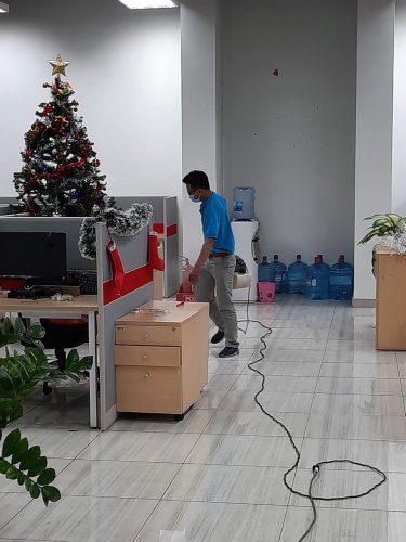 dịch vụ diệt bọ chét tại nhà tại Long An