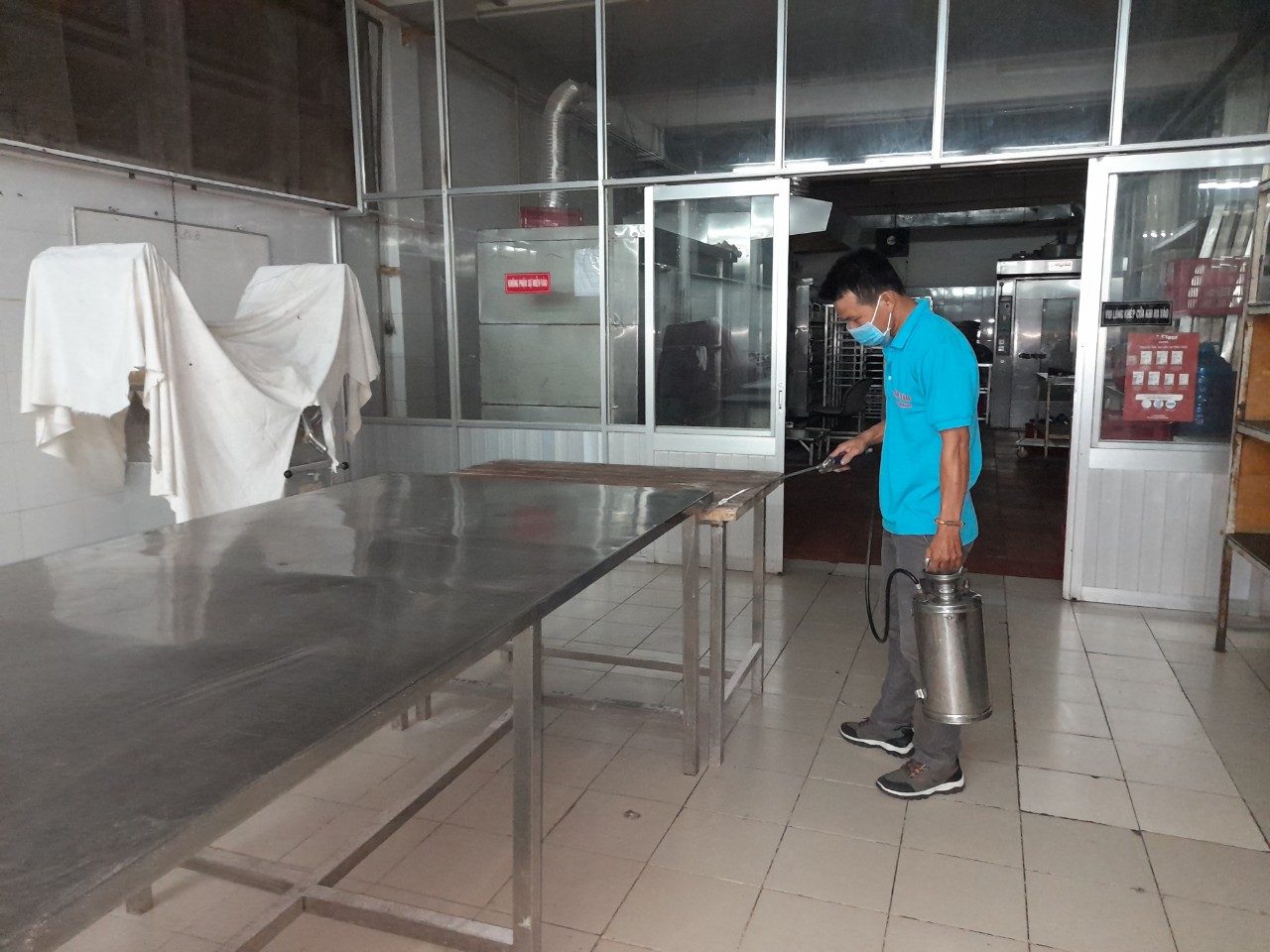 dịch vụ diệt chuột tại nhà ở Long An