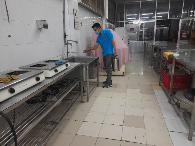 dịch vụ diệt côn trùng ở Đà nẵng