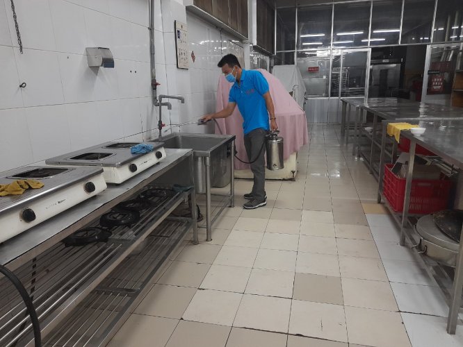 dịch vụ diệt côn trùng tại Bình Dương
