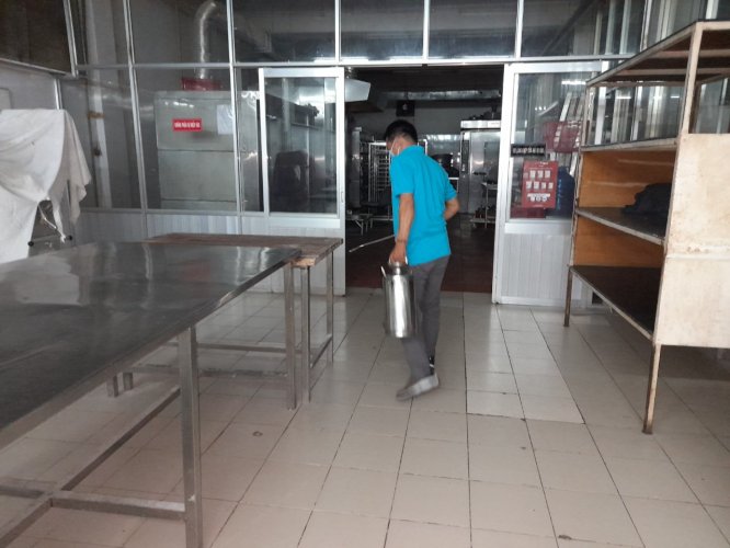 dịch vụ diệt gián tại nhà Long An