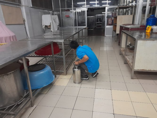dịch vụ diệt gián tại nhà Long An