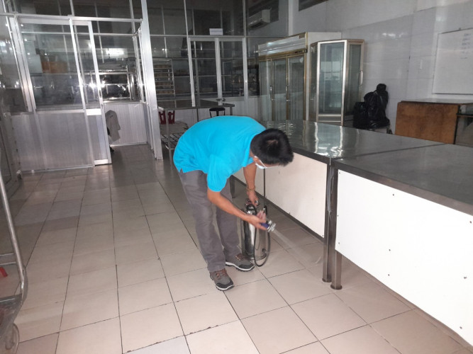 diệt gián trên trần nhà ở Củ Chi