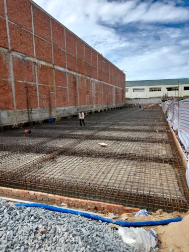 dịch vụ diệt mối hiệu quả tại Củ Chi