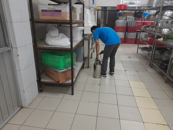 diệt gián hiệu quả nhất tại Củ Chi