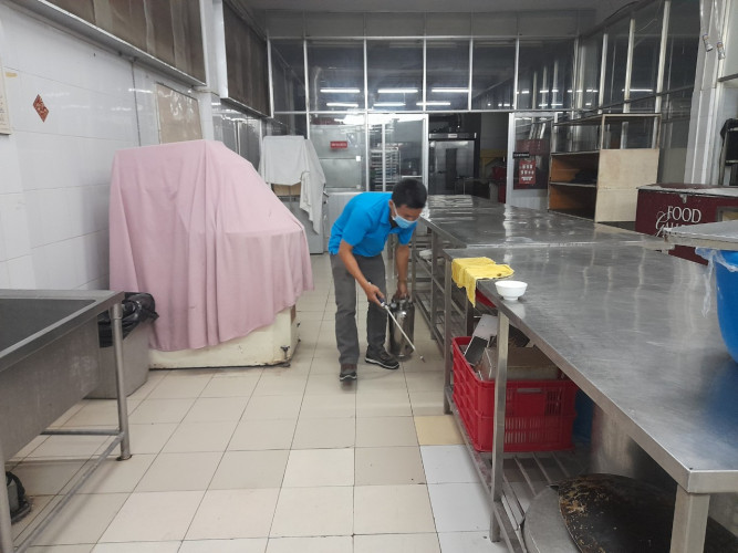 diệt gián tại nhà tại Bình Dương
