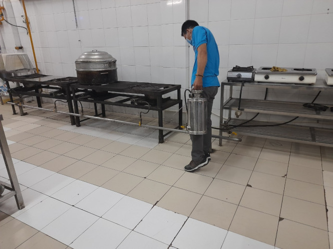 diệt kiến an toàn Long An