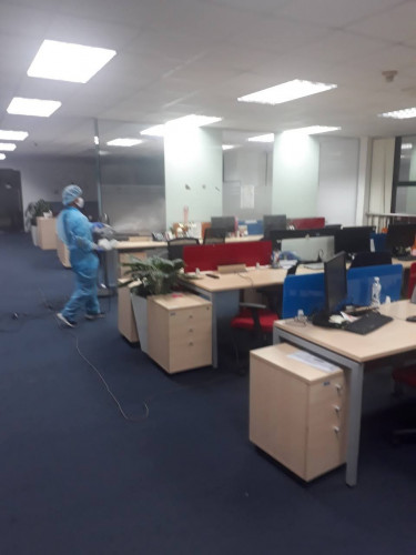 diệt ruồi nhanh nhất Long An