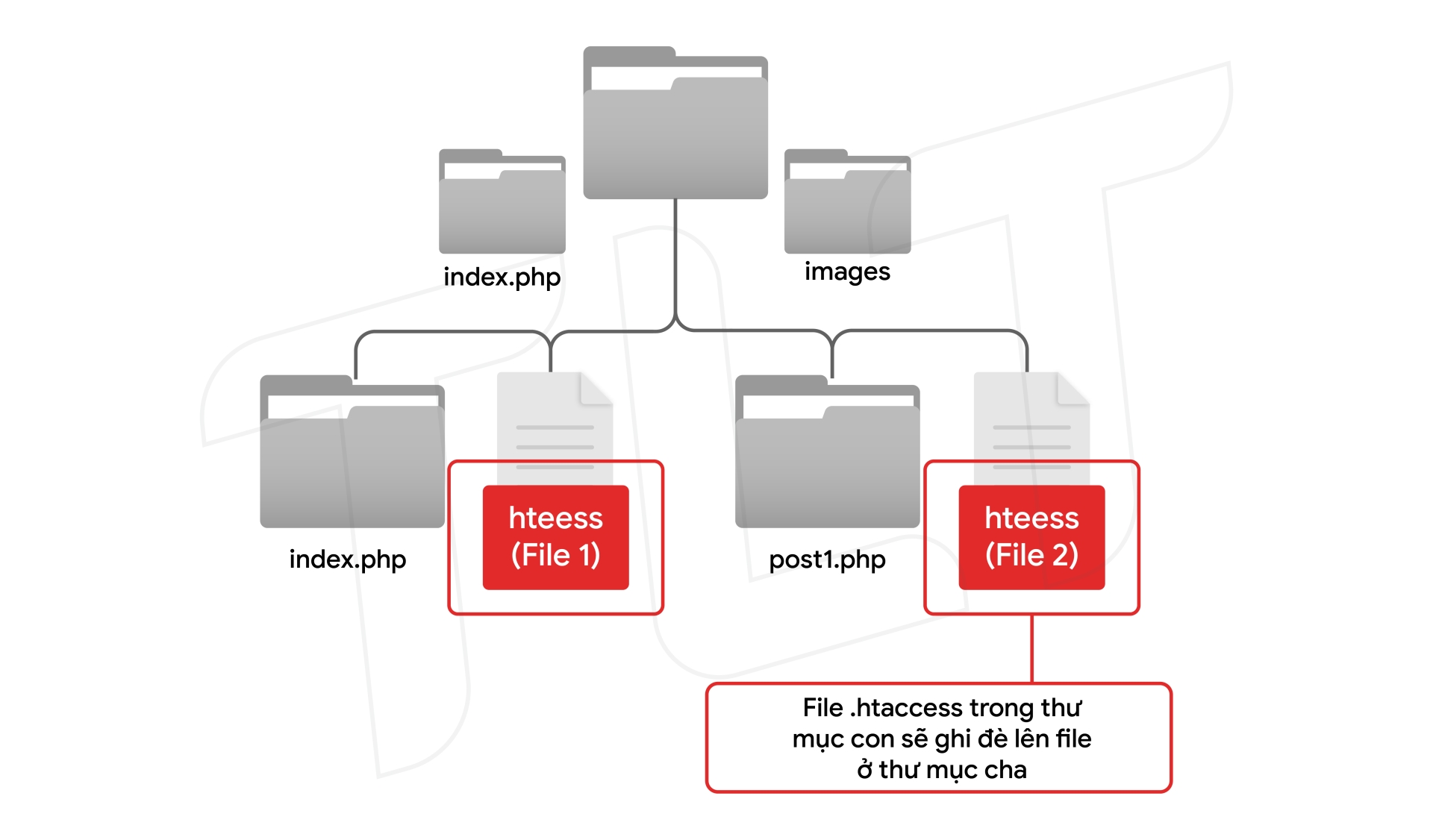 File .htaccess là gì: Hướng dẫn chi tiết từ A-Z cho quản trị website