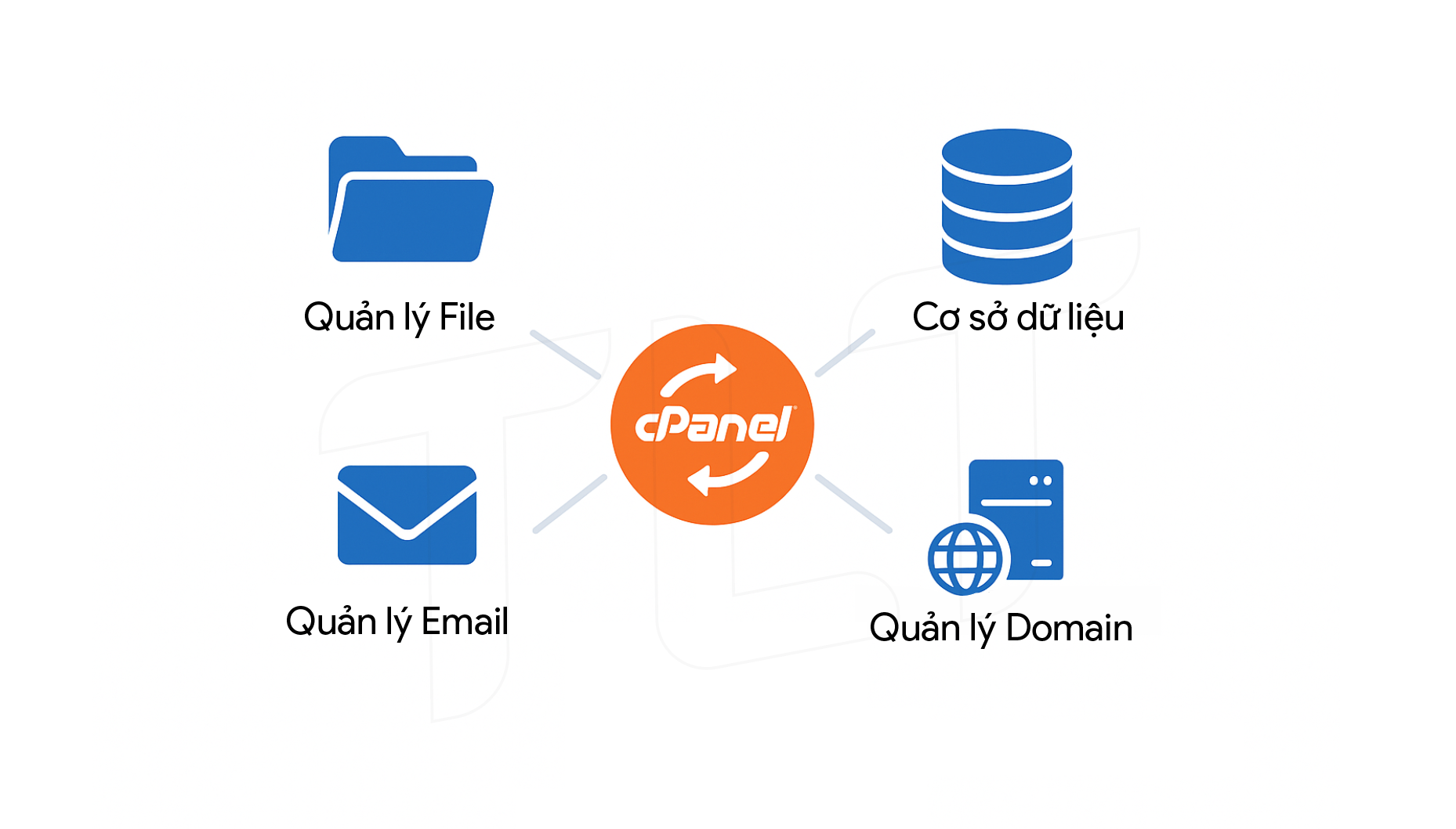 cPanel là gì? Hướng dẫn toàn diện quản lý hosting cho người mới 2025