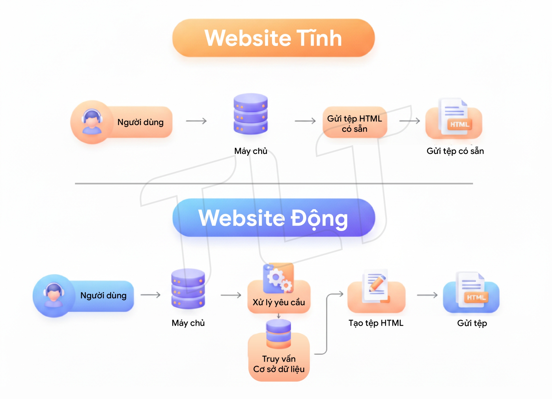 Website Tĩnh vs Động: So Sánh Chi Tiết & Hướng Dẫn Lựa Chọn 2025