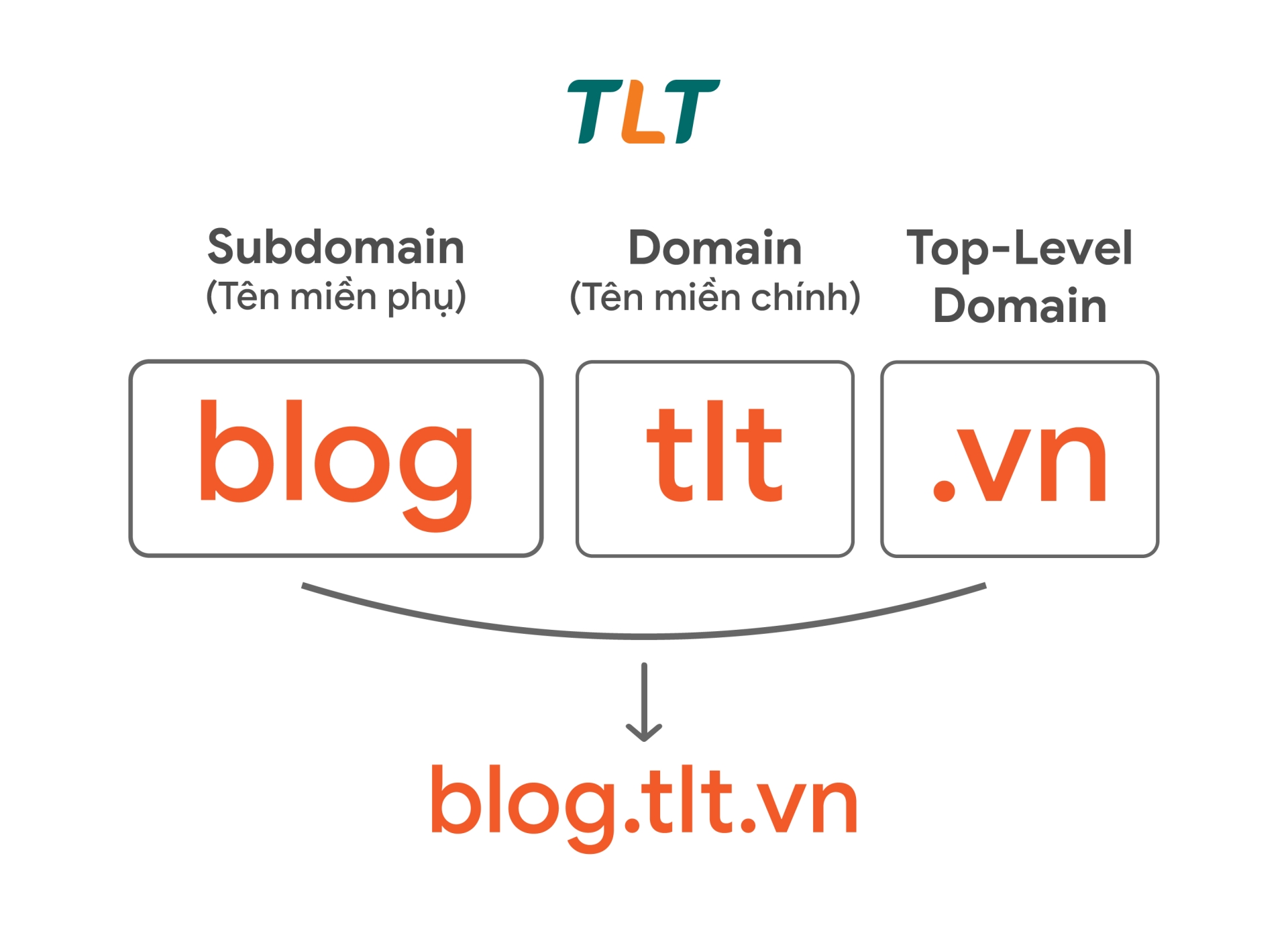 Subdomain là gì? Hướng dẫn A-Z và tác động SEO 2025
