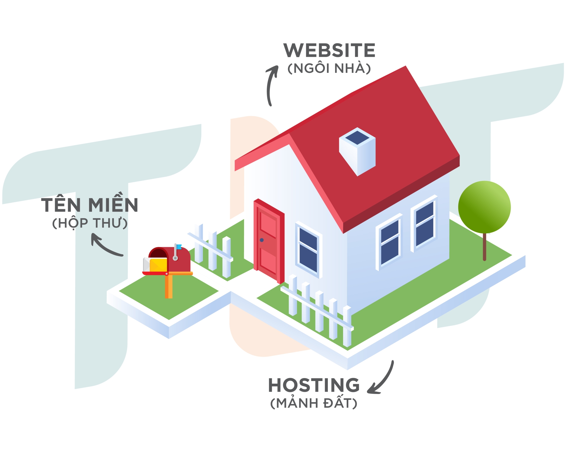 Hosting là gì? Vì sao nên chọn TLT Hosting cho website của bạn?